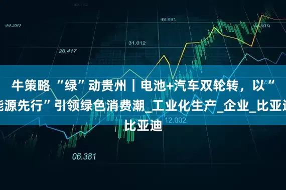 牛策略 “绿”动贵州｜电池+汽车双轮转，以“能源先行”引领绿色消费潮_工业化生产_企业_比亚迪