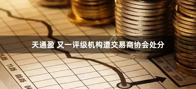 天通盈 又一评级机构遭交易商协会处分
